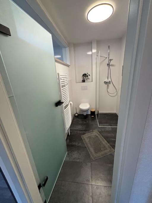 Ferienwohnung In Der Suedpfalz Zeiskam 외부 사진